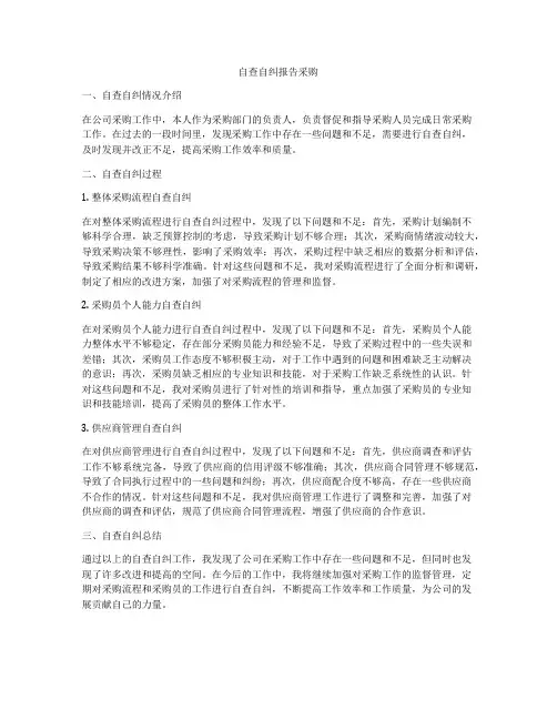 自查自纠报告采购