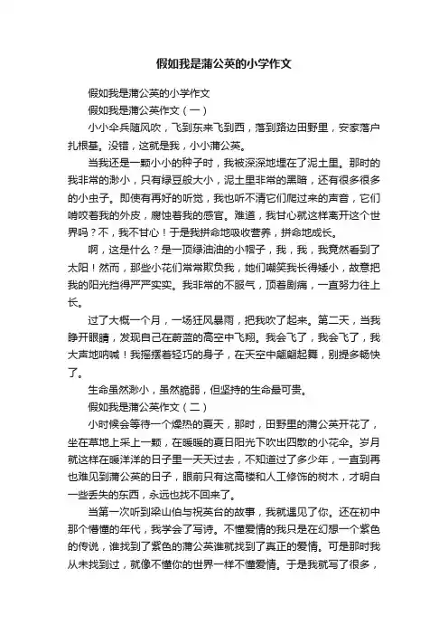 假如我是蒲公英的小学作文