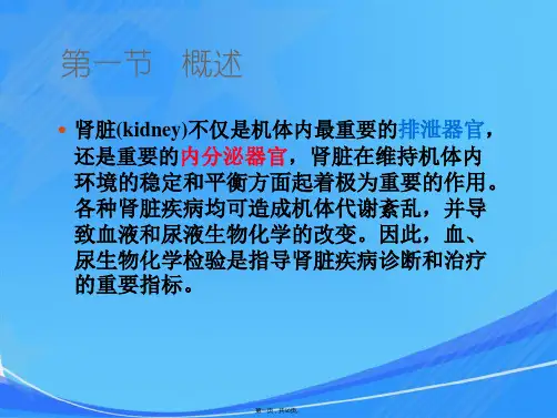第十二章肾功能试验