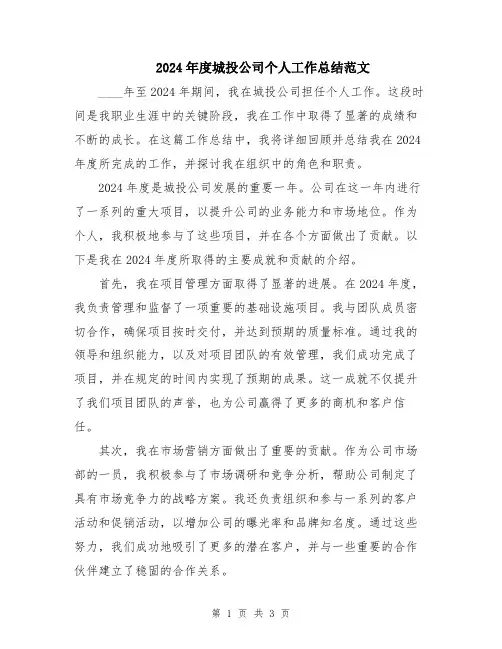 2024年度城投公司个人工作总结范文