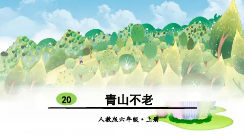 六年级语文上册课件-20 青山不老人教(部编版) (共35张PPT)精选PPT教学课件