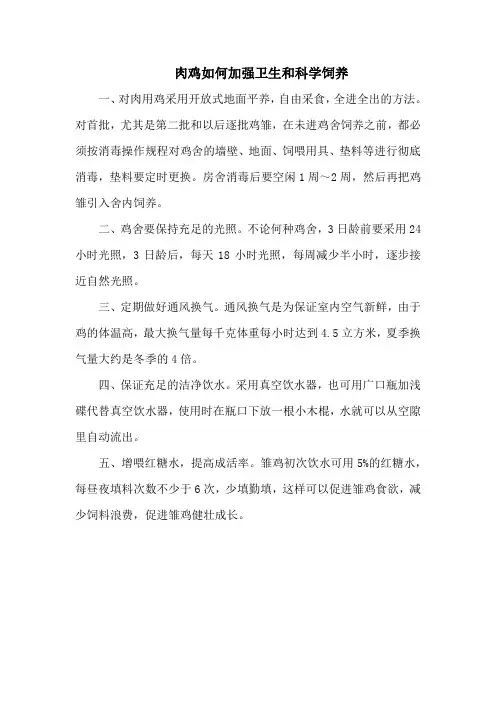 肉鸡如何加强卫生和科学饲养