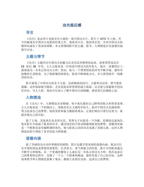 功夫观后感