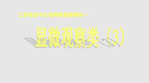观察小金鱼尾鳍的血液流动观察人血细胞涂片PPT课件