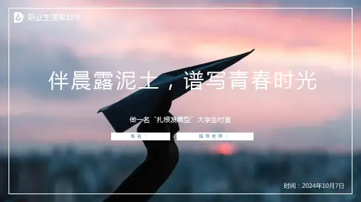 大数据与会计专业职业生涯规划PPT模板