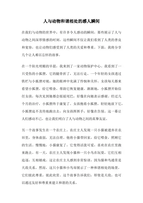 人与动物和谐相处的感人瞬间