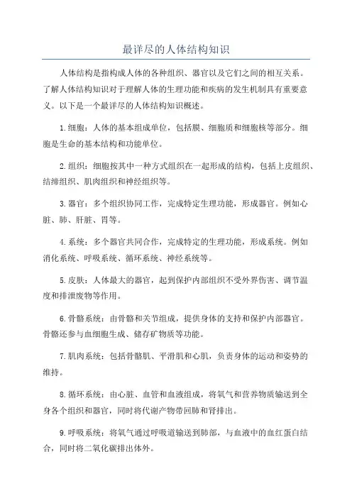 最详尽的人体结构知识