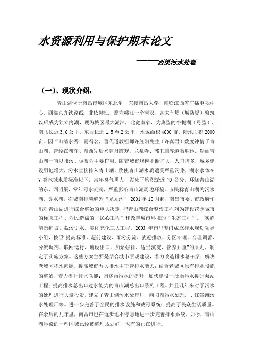 水资源利用与保护期末论文