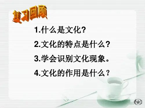 文化与经济ppt课件