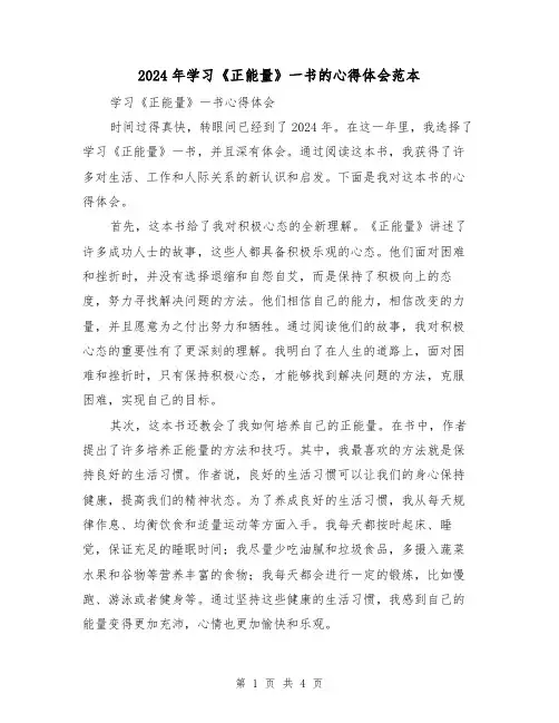 2024年学习《正能量》一书的心得体会范本(2篇)