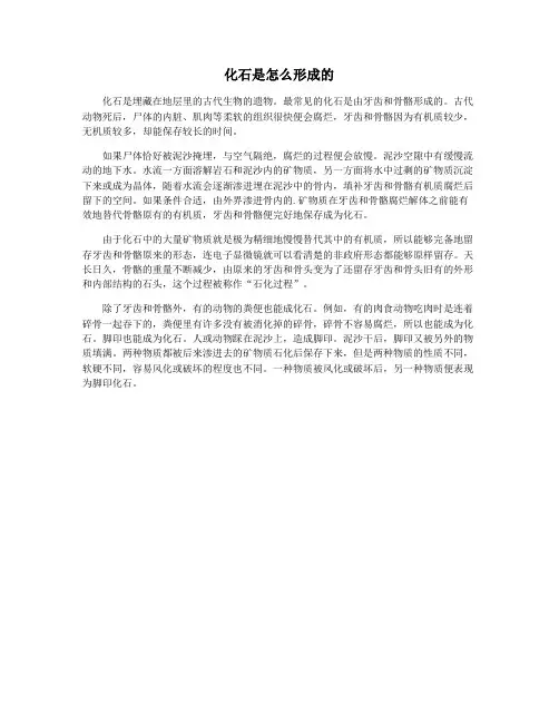 化石是怎么形成的