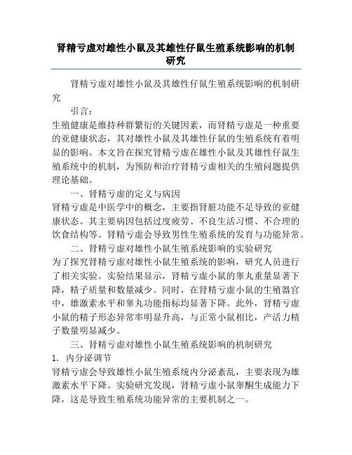 肾精亏虚对雄性小鼠及其雄性仔鼠生殖系统影响的机制研究