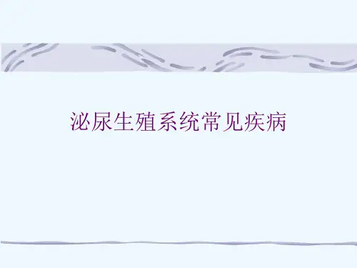 泌尿生殖系统常见疾病[可修改版ppt]