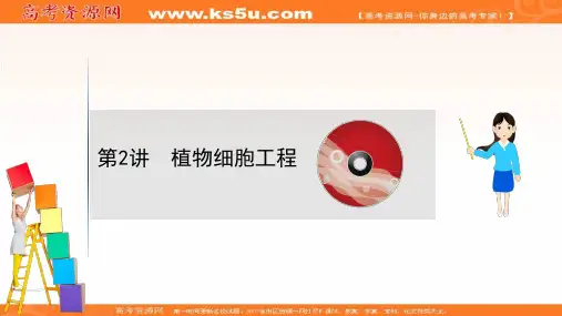 2021版高考人教版通用生物核心讲练大一轮复习课件：选修植物细胞工程