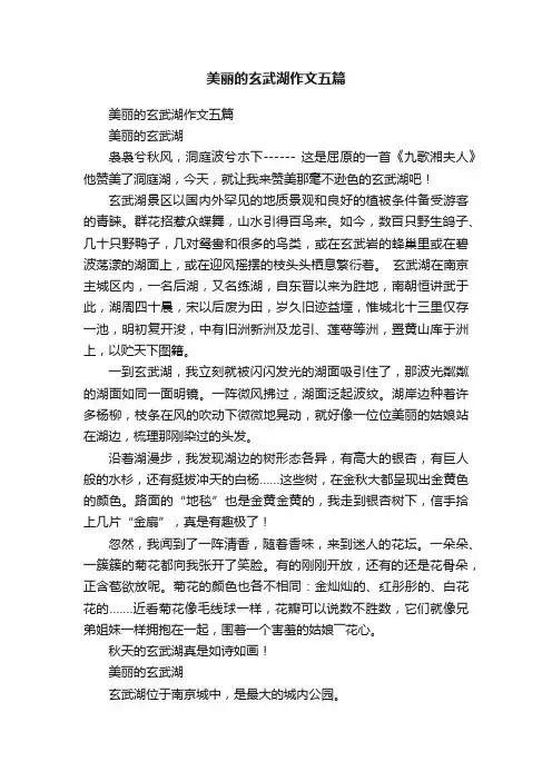 美丽的玄武湖作文五篇
