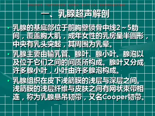 乳腺超声诊断培训课件