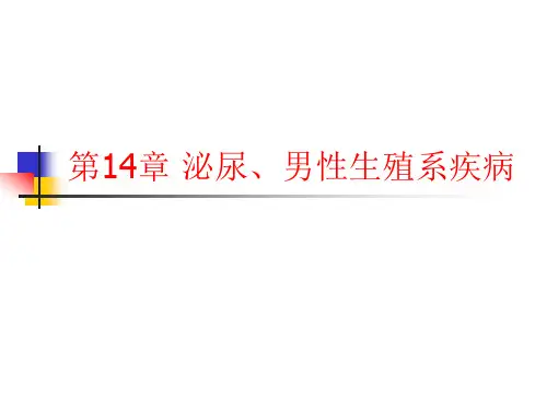 第14章 泌尿、男性高职高专《外科学》(第二版)ppt课件