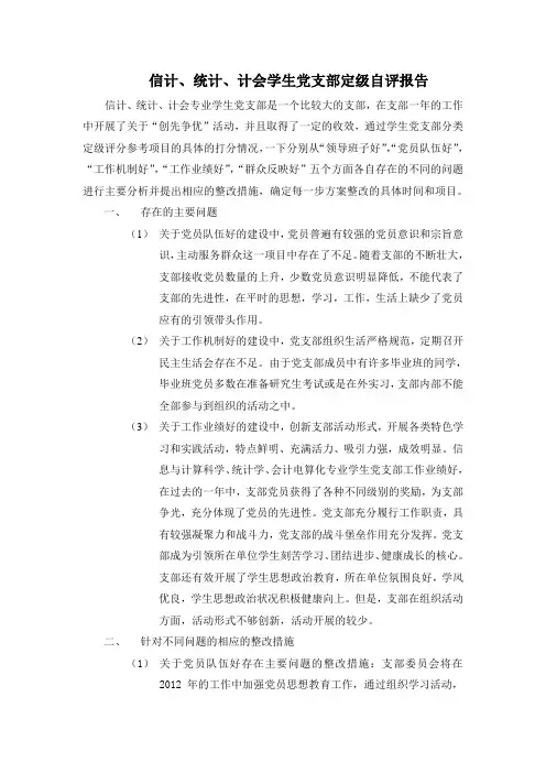 支部定级自评报告