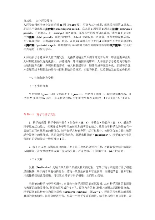 (完整word版)第三章   人体胚胎发育