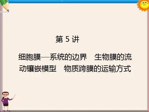 高三生物 细胞膜、生物膜的流动镶嵌模型复习课件 新人教版