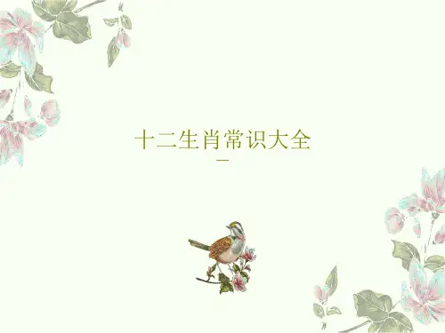 十二生肖常识大全54页PPT