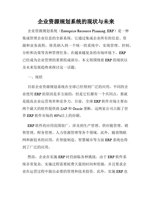 企业资源规划系统的现状与未来