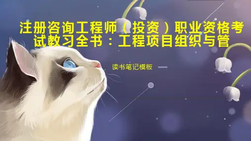 《注册咨询工程师(投资)职业资格考试教习全书：工程项目组织与管》读书笔记模板