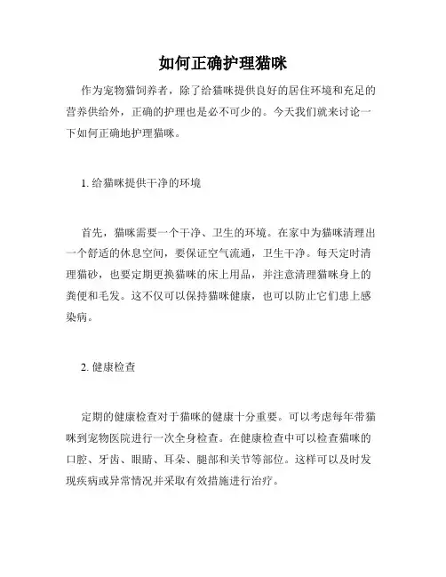 如何正确护理猫咪