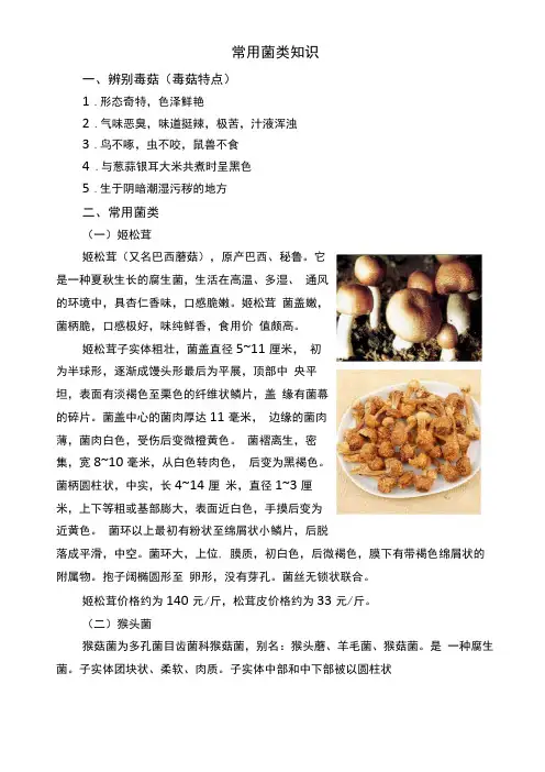 常用菌类知识
