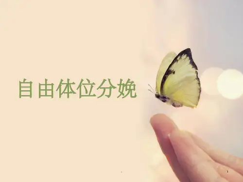 自由体位分娩 ppt