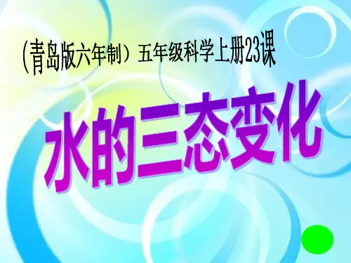 公开课《水的三态变化》PPT课件
