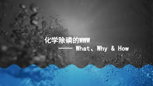 【水处理工程】化学除磷是什么、为什么以及怎么做