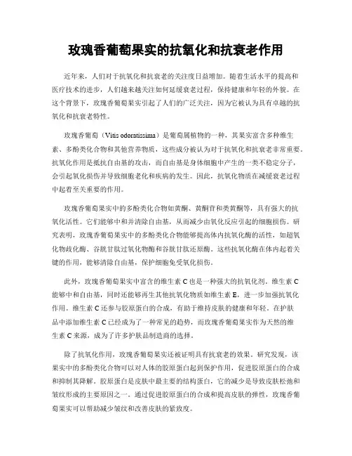 玫瑰香葡萄果实的抗氧化和抗衰老作用