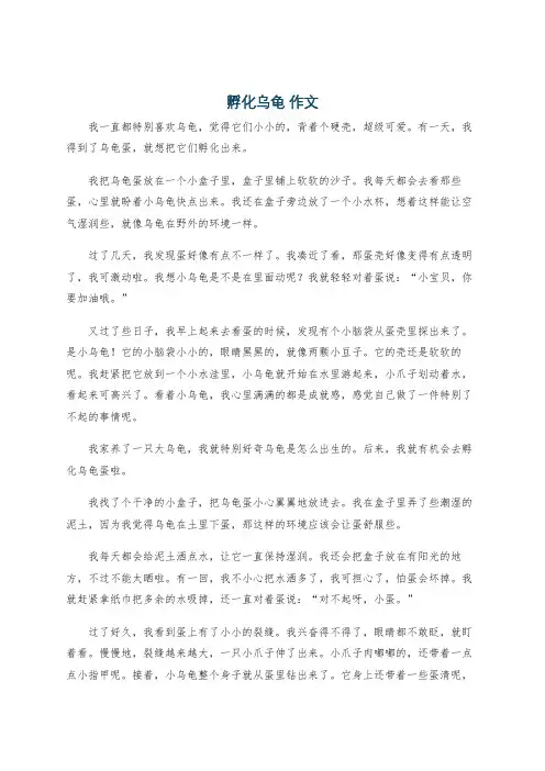 孵化乌龟 作文
