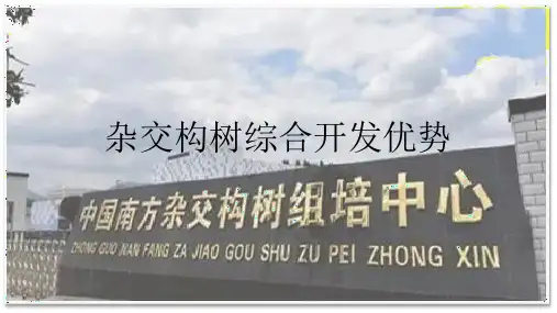 杂交构树综合开发优势