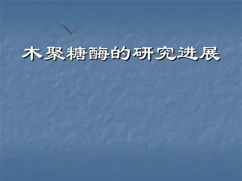 木聚糖酶的研究进展