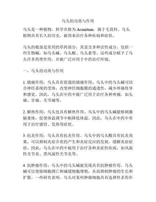 乌头的功效与作用