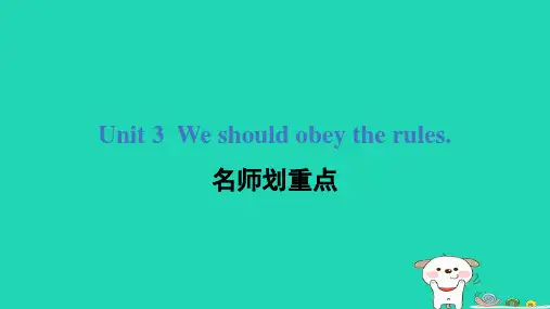 五年级英语下册人教精通版三起Unit 3 划重点
