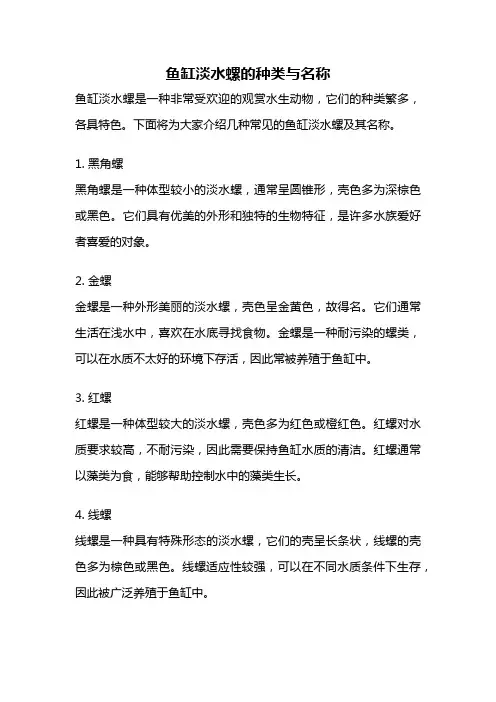 鱼缸淡水螺的种类与名称