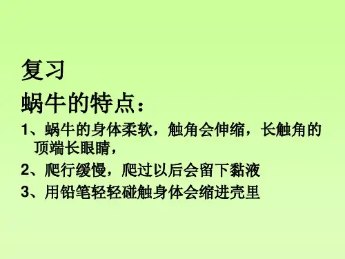 《蜗牛(二)》PPT课件教科版小学1