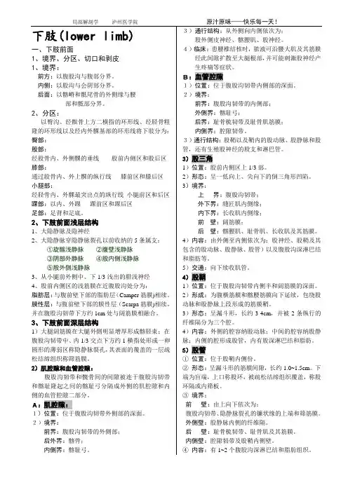 局部解剖学局解下肢