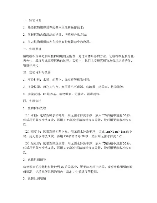 组织培育实验报告