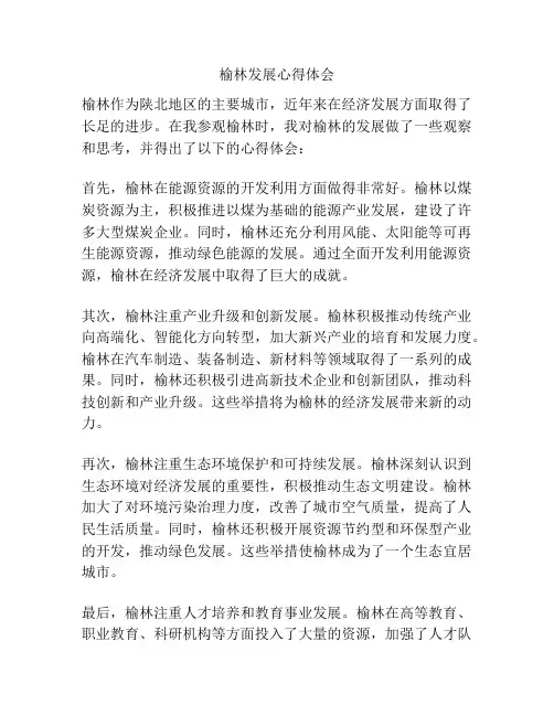 榆林发展心得体会