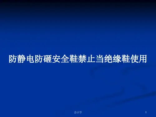 防静电防砸安全鞋禁止当绝缘鞋使用PPT学习教案