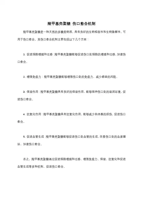羧甲基壳聚糖 伤口愈合机制