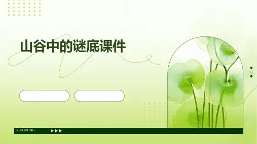 山谷中的谜底课件