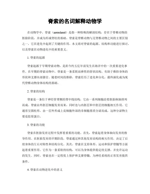 脊索的名词解释动物学