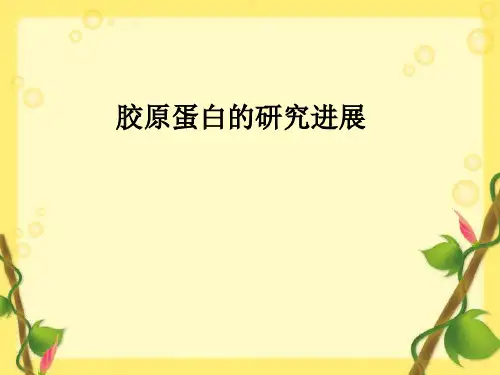 胶原蛋白的研究进展