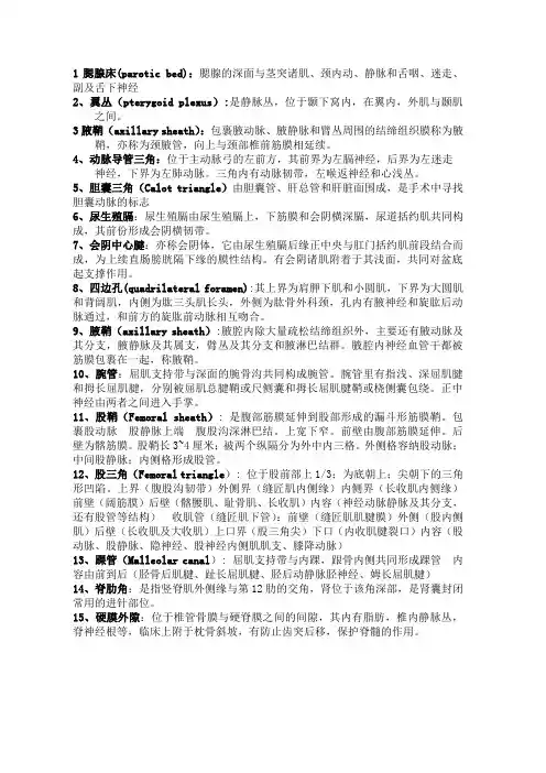局部解剖学期末复习总汇(名解_大题_案例分析)