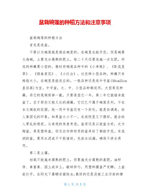 盆栽碗莲的种植方法和注意事项